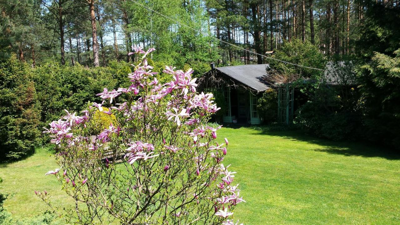 Domek Letniskowy Na Kaszubach Lub Apartament Z Kominkiem Puck Buitenkant foto
