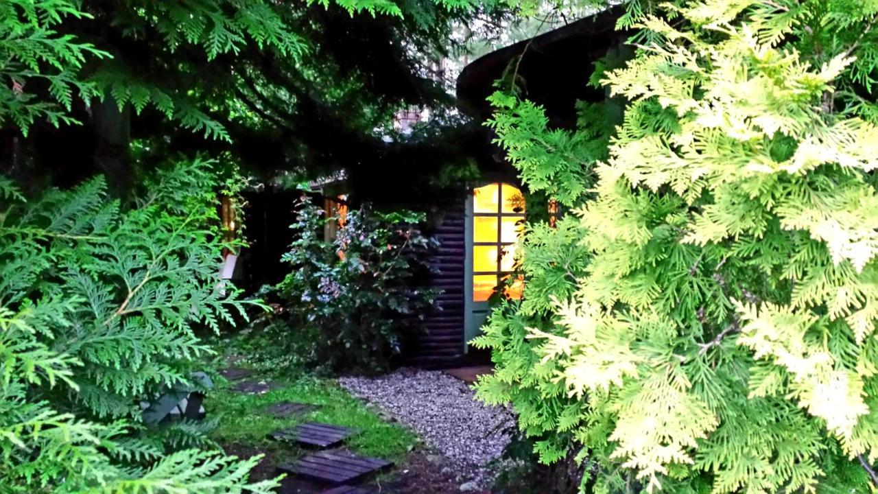 Domek Letniskowy Na Kaszubach Lub Apartament Z Kominkiem Puck Buitenkant foto