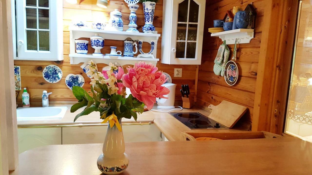Domek Letniskowy Na Kaszubach Lub Apartament Z Kominkiem Puck Buitenkant foto