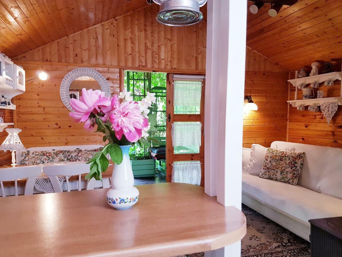 Domek Letniskowy Na Kaszubach Lub Apartament Z Kominkiem Puck Buitenkant foto
