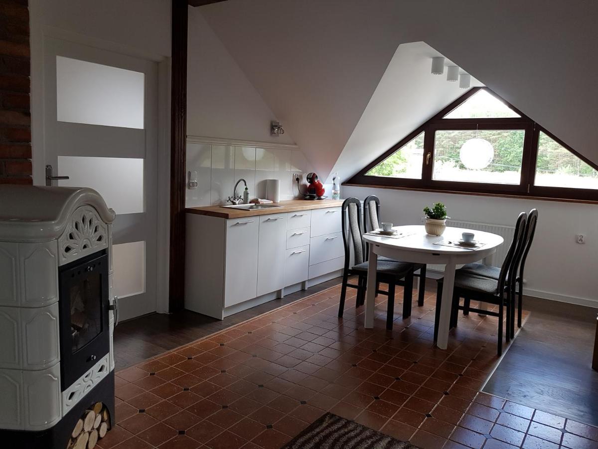 Domek Letniskowy Na Kaszubach Lub Apartament Z Kominkiem Puck Buitenkant foto