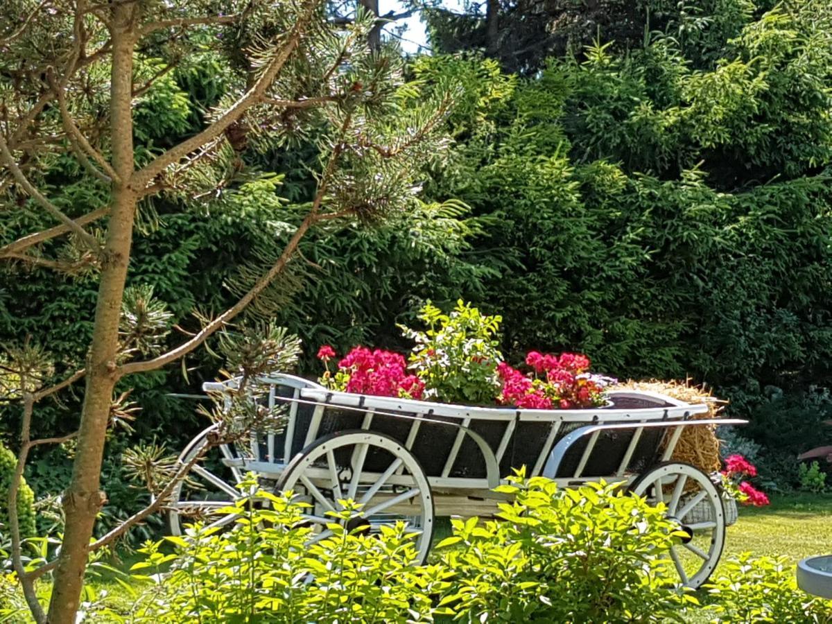Domek Letniskowy Na Kaszubach Lub Apartament Z Kominkiem Puck Buitenkant foto